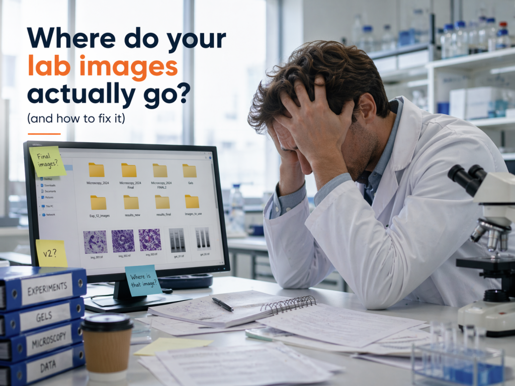 Where do your lab images go?